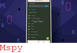 Mspy No Jailbreak